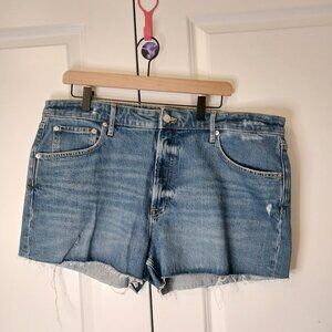 Free Assembly Jean Shorts Distressed
